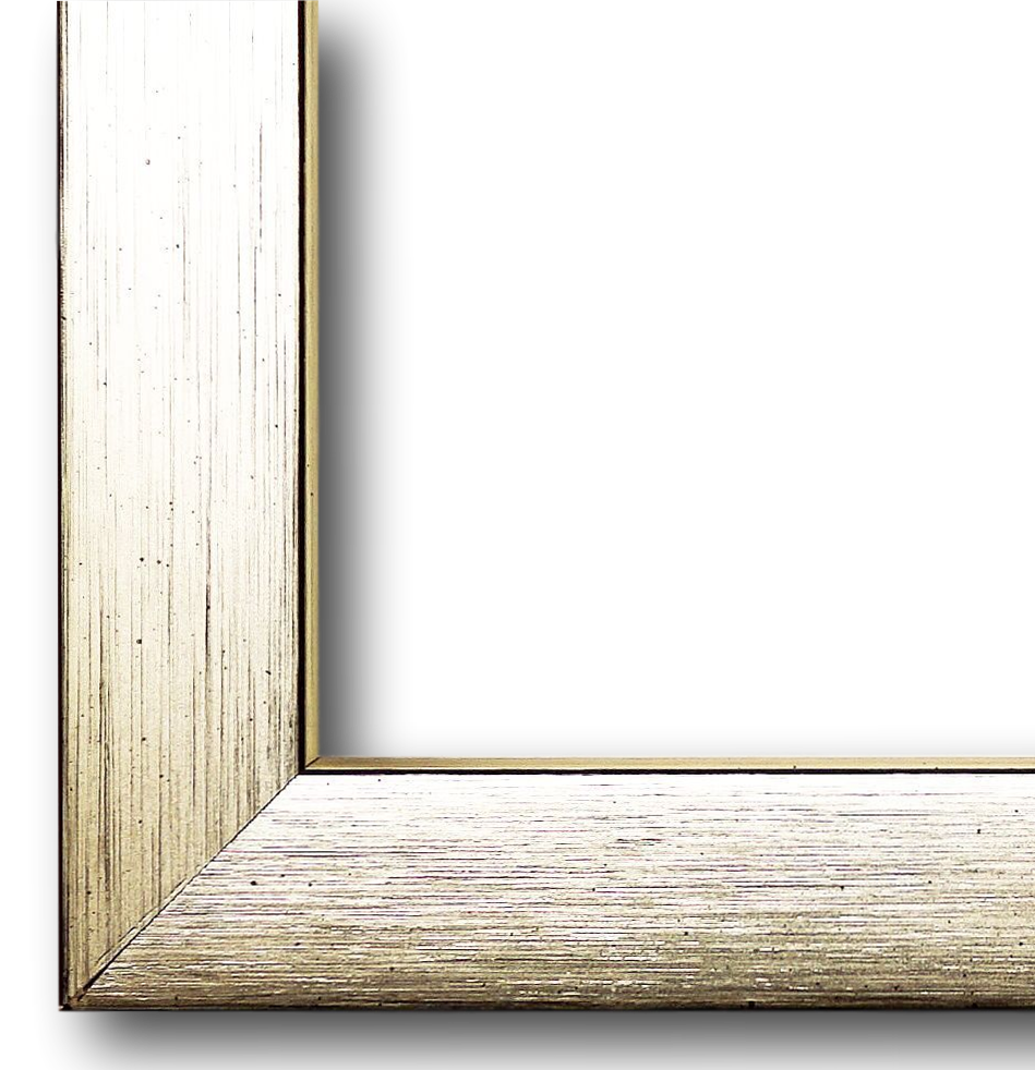 Bilderrahmen Erlangen Silber Schwarz 40x60 cm