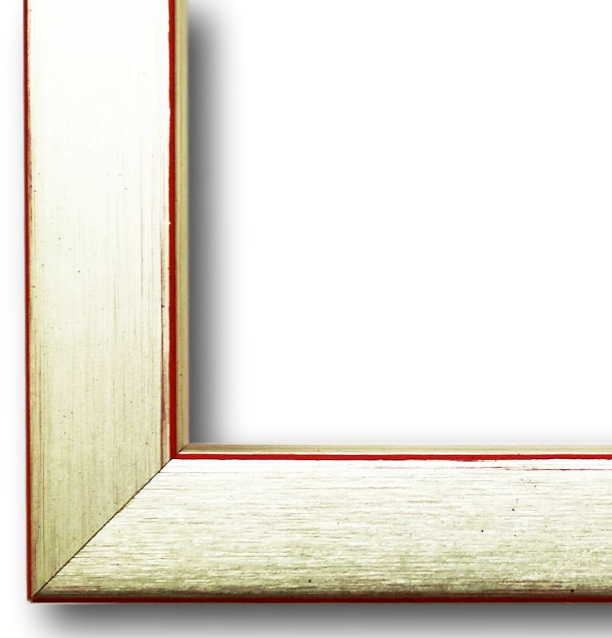 Bilderrahmen Erlangen Silber Rot 50x100 cm