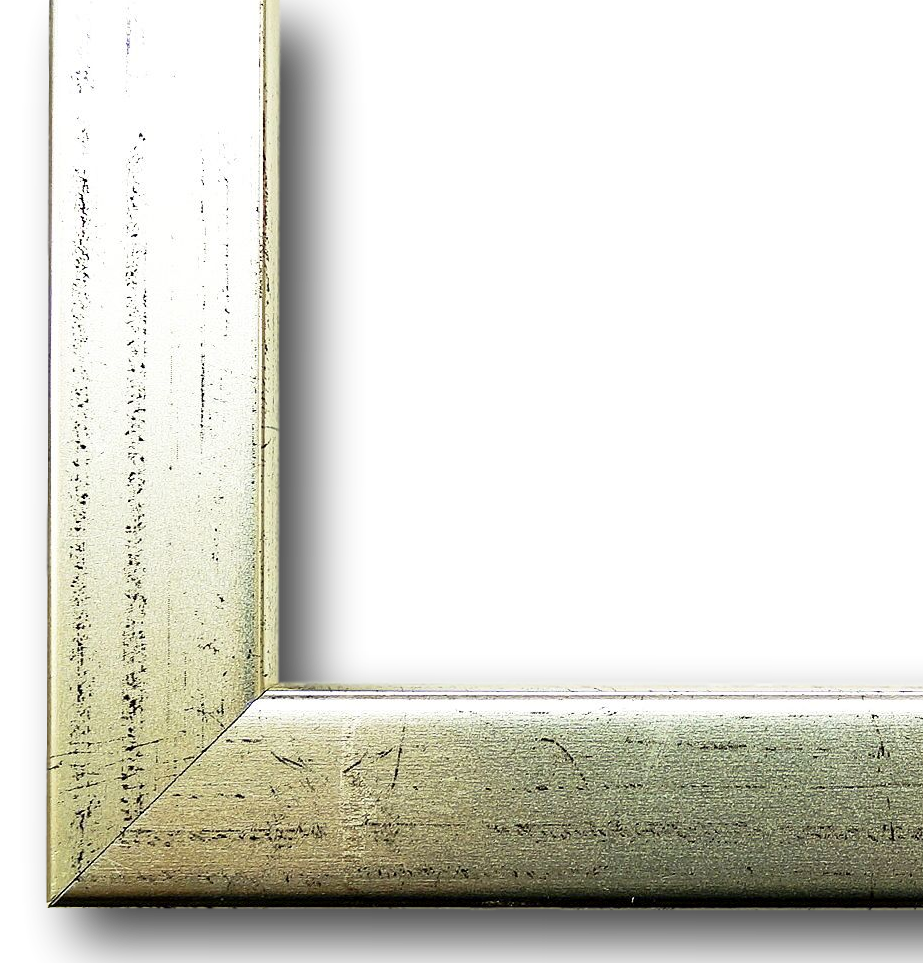 Bilderrahmen Erlangen Silber 100x140 cm