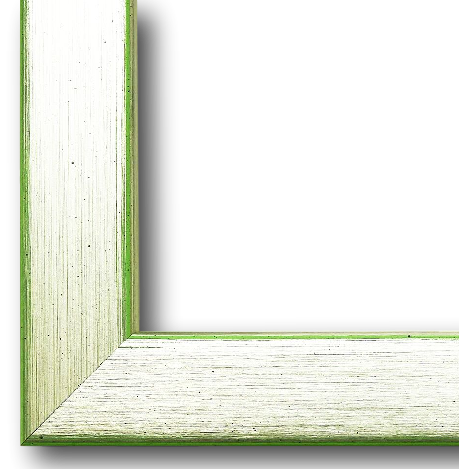 Bilderrahmen Erlangen Silber Grün 100x160 cm