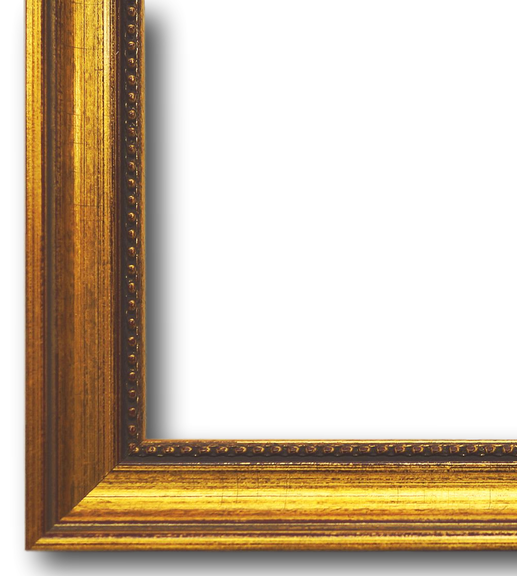 Bilderrahmen Aichach gold DIN A2 cm