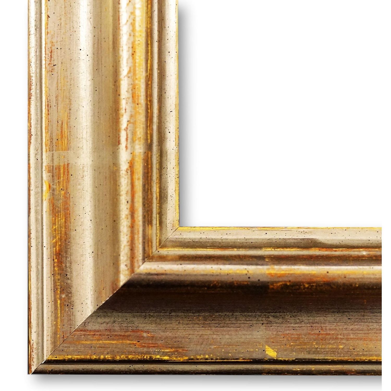 Bilderrahmen Miesbach Echt-Platin DIN A1 cm