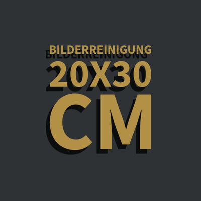 Gemäldereinigung 20x30 cm