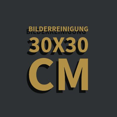 Gemäldereinigung 30x30 cm