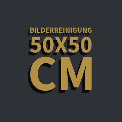 Gemäldereinigung 50x50 cm