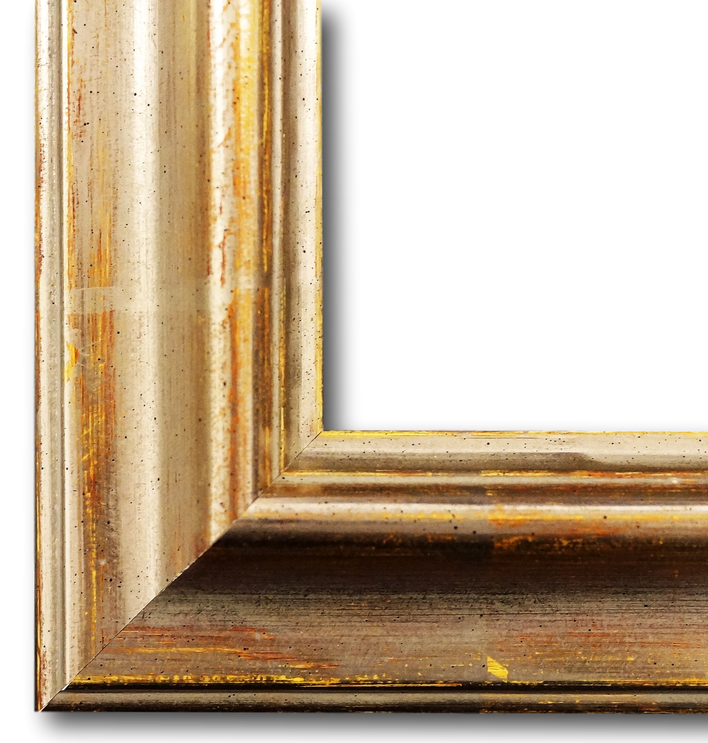 Bilderrahmen mit Museumsglas Miesbach Echt-Platin 100x160 cm