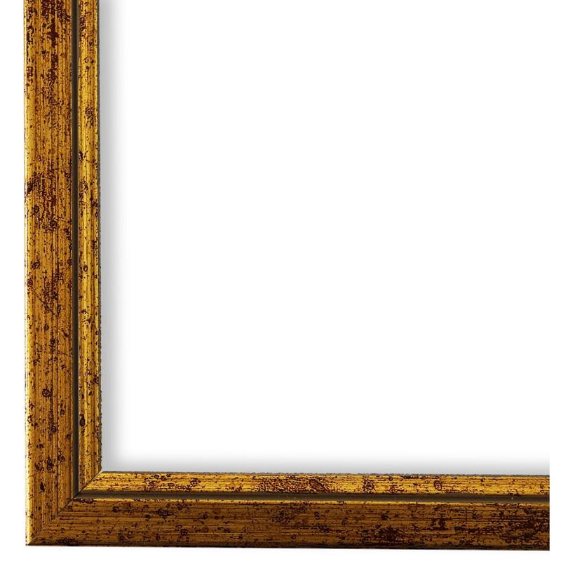 Bilderrahmen mit Museumsglas Regensburg gold DIN A2 cm