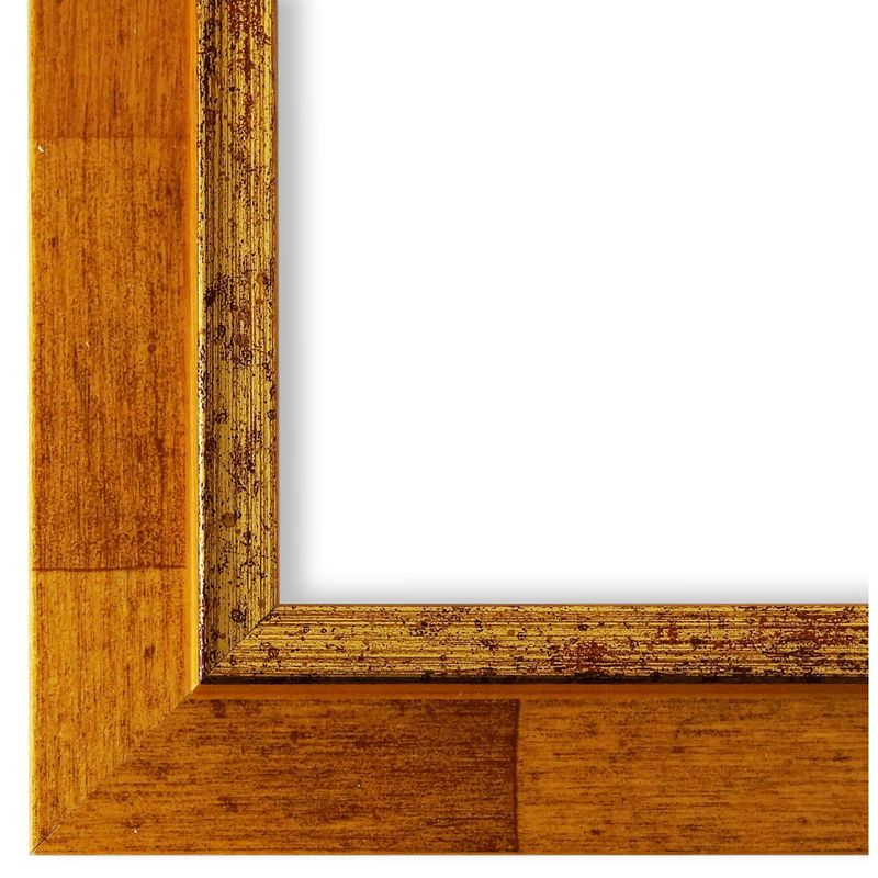 Bilderrahmen mit Museumsglas Schwabach Hell-Braun Gold DIN A2 cm