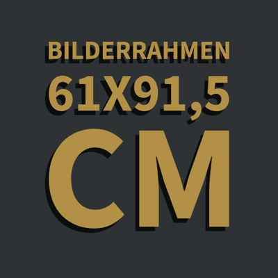 Bilderrahmen Museumsglas 61x91,5 cm