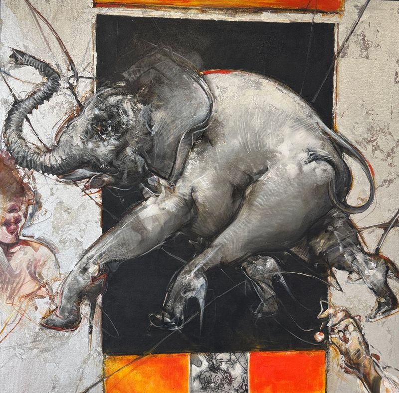 Vanni Saltarelli - Tacco 12
