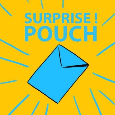 SURPRISE POUCH ! / POCHETTE SURPRISE