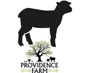 Providence Farm Lamb Bone Packs (aprox-3#)