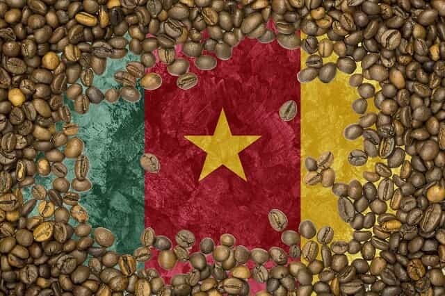 Cameroon Coffee Cameroon Coffee