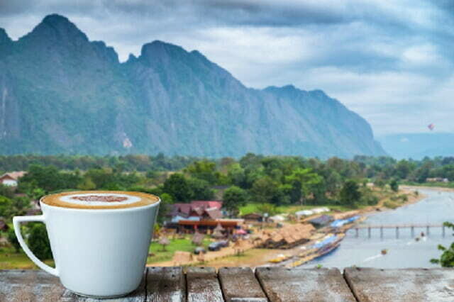 Blue Mountain Blend Ground and Whole Bean Coffee Blue Mountain Blend Ground and Whole Bean Coffee
