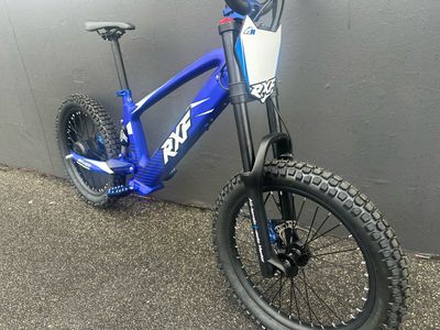RXF EVO 20” Electric Bike