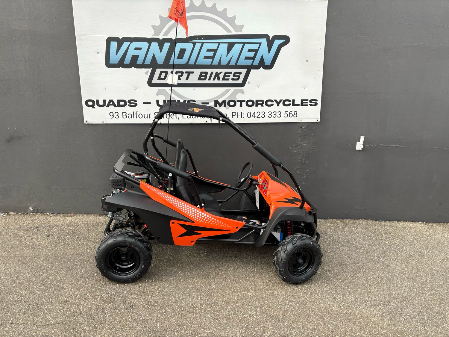 Hammerhead Mudhead SE Buggy 208cc