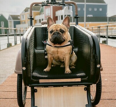Socibike cargobike with 45x45 cm drysit for the dog :-)