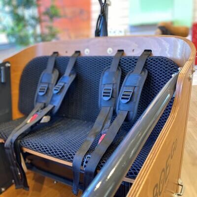 Babboe Mini / City / Flow / Carve (with 2 seat pads)