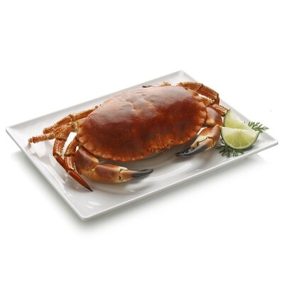 Buey de mar congelado cocido