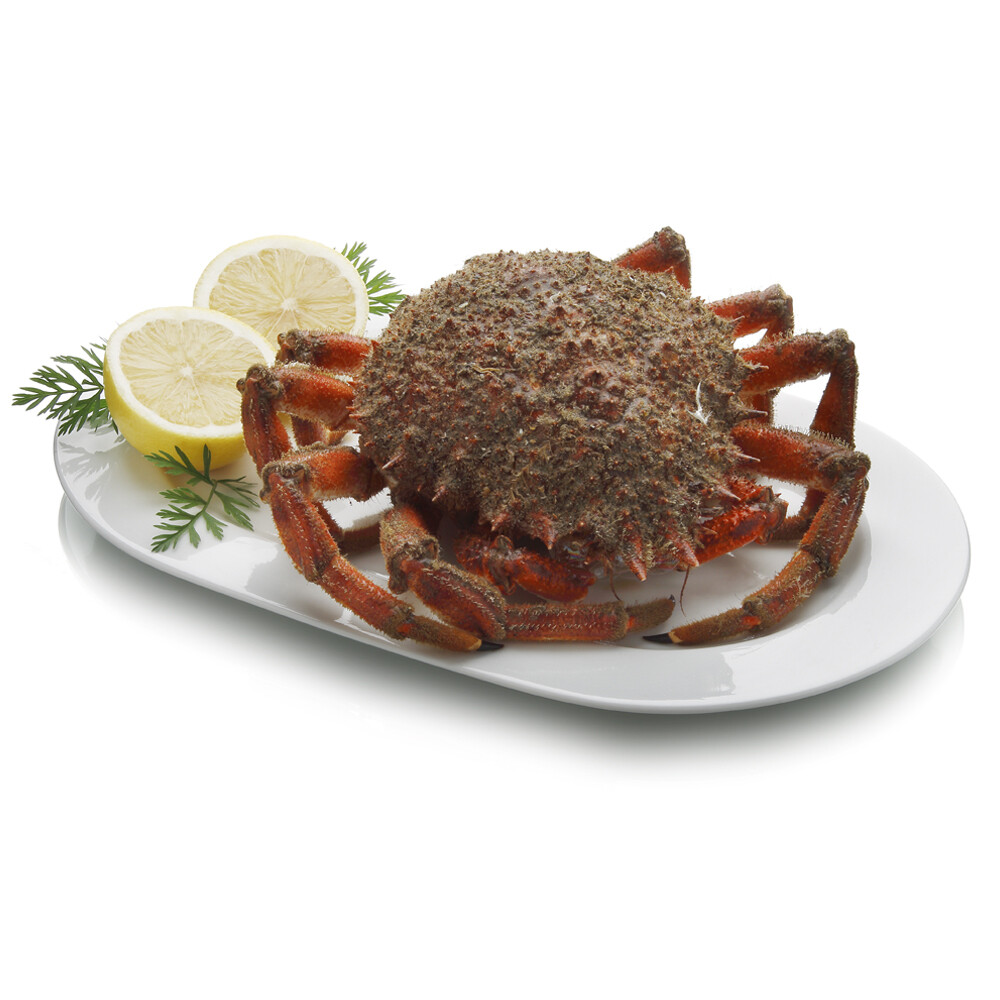 Centolla.