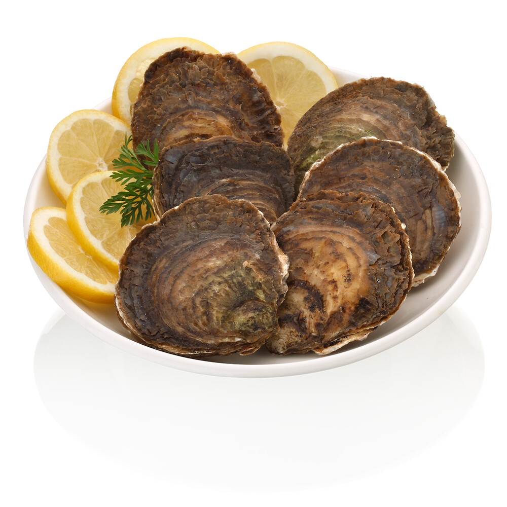 Ostra gallega viva.