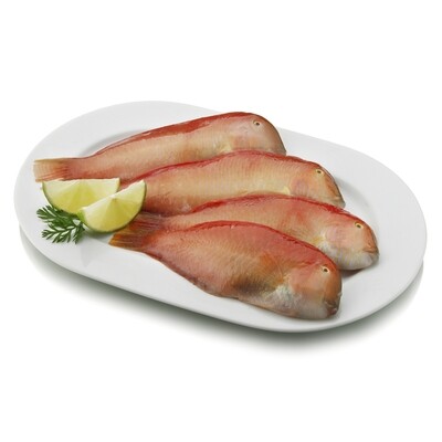 Galanes o Loricos.