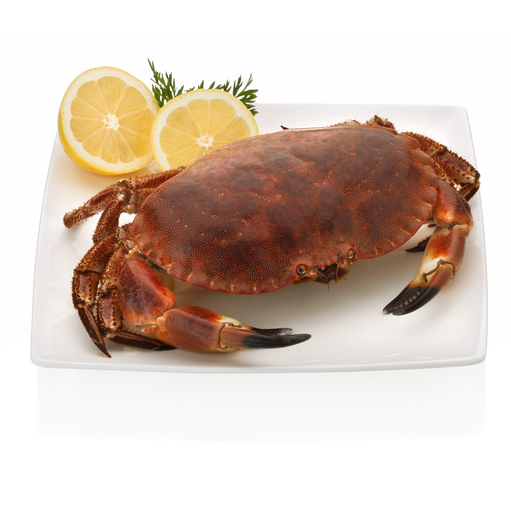 Buey de mar vivo o cocido.