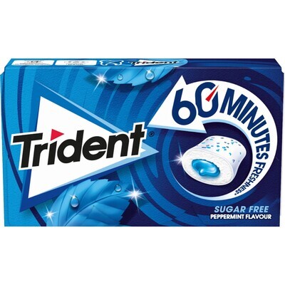 Chicles TRIDENT 60 minutes menta 22 g.