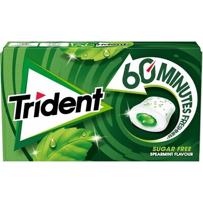 Chicles TRIDENT 60 minutes hierbabuena 22 g.