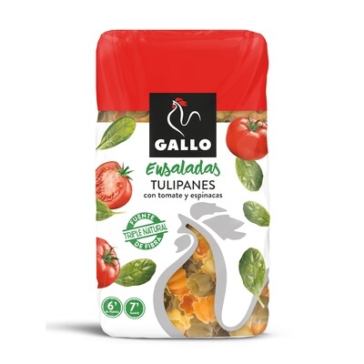 Tulipanes GALLO.