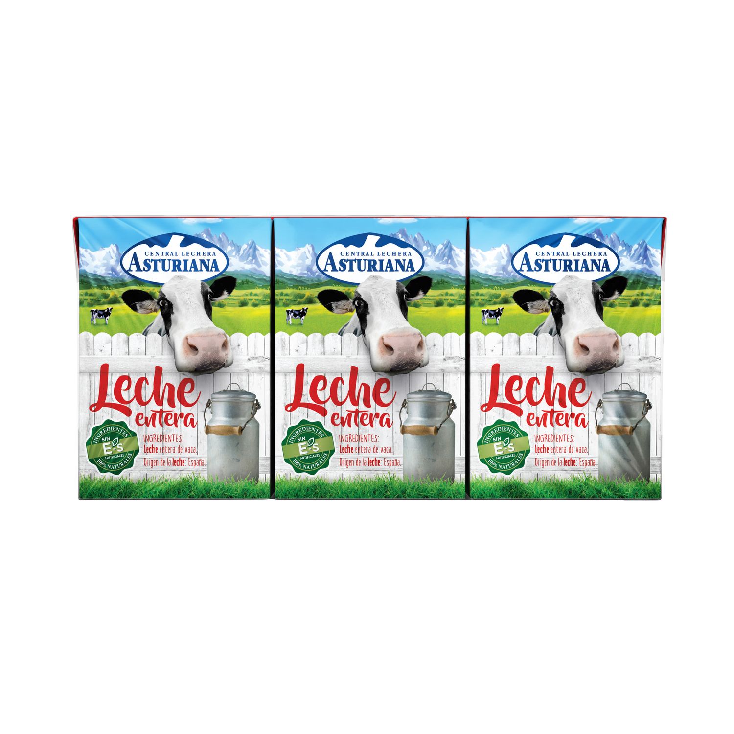 Leche entera CENTRAL LECHERA ASTURIANA 6 x 200 ml.