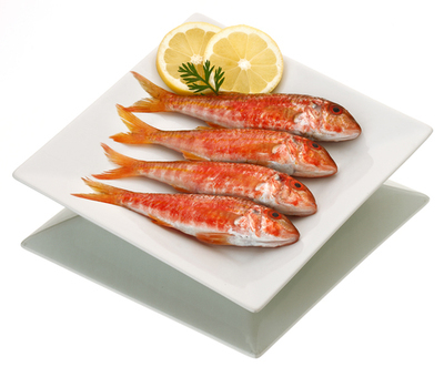 Salmonetes pequeños.
