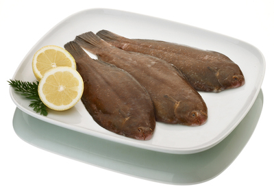 Lenguado migoso.