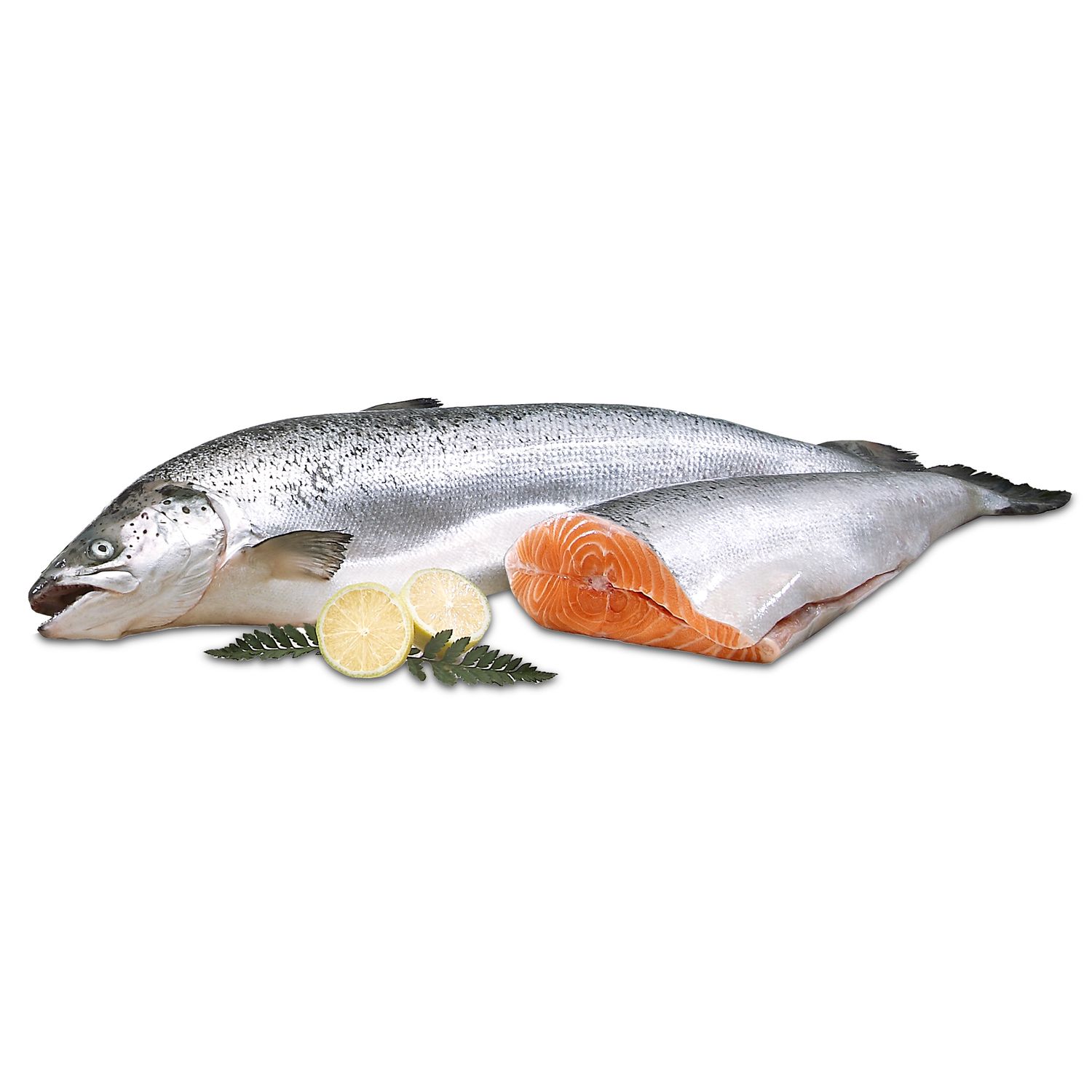 Salmón por medios o enteros (14.50 €/kg)