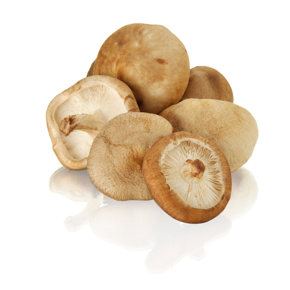 Seta Shiitake.
