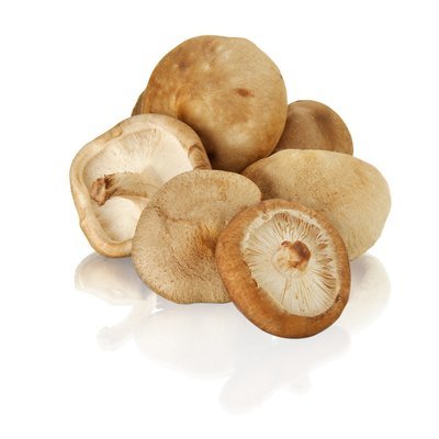 Seta Shiitake.