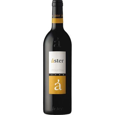 Vino tinto D.O. Ribera del Duero 2020 ASTER 75 cl.