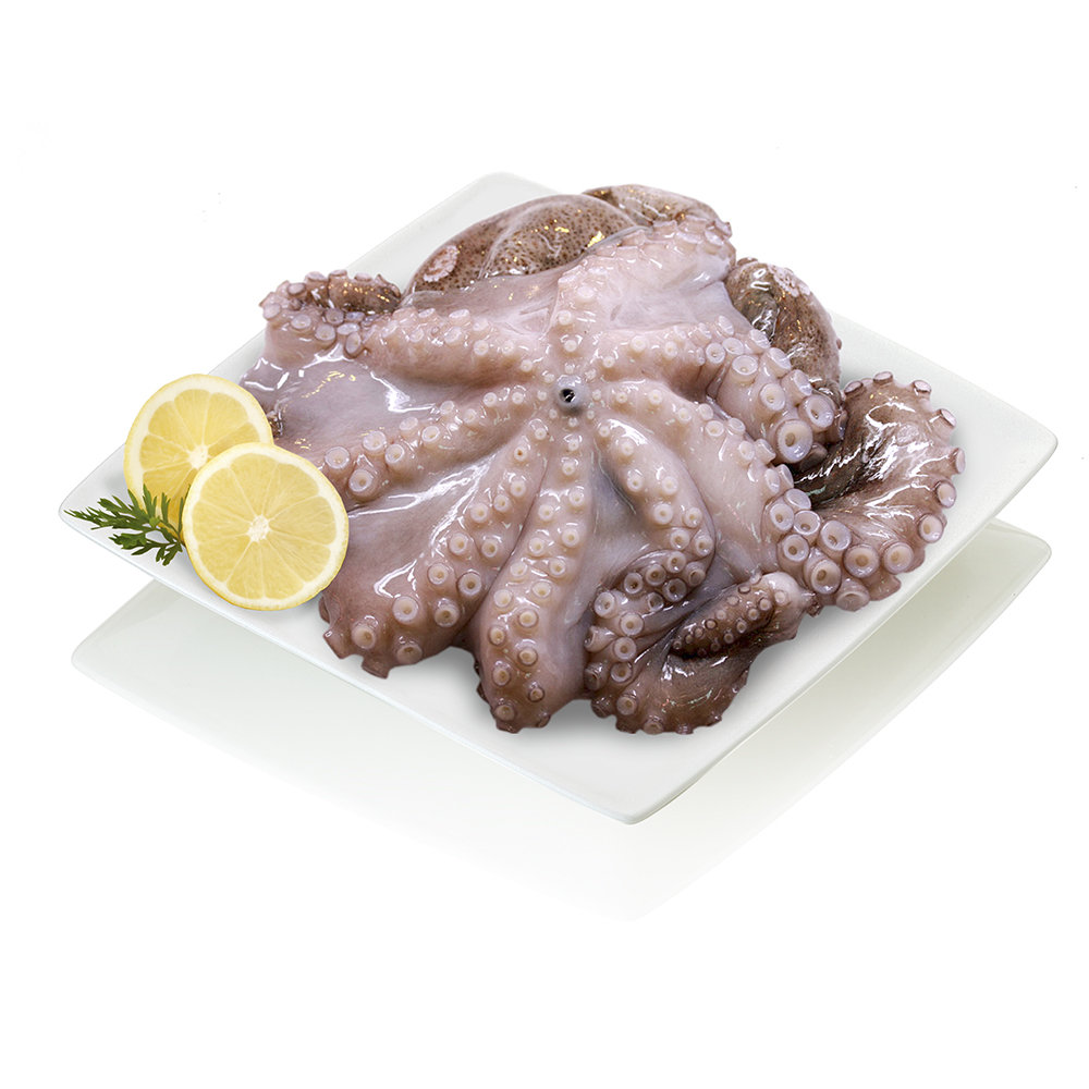 Pulpo fresco.