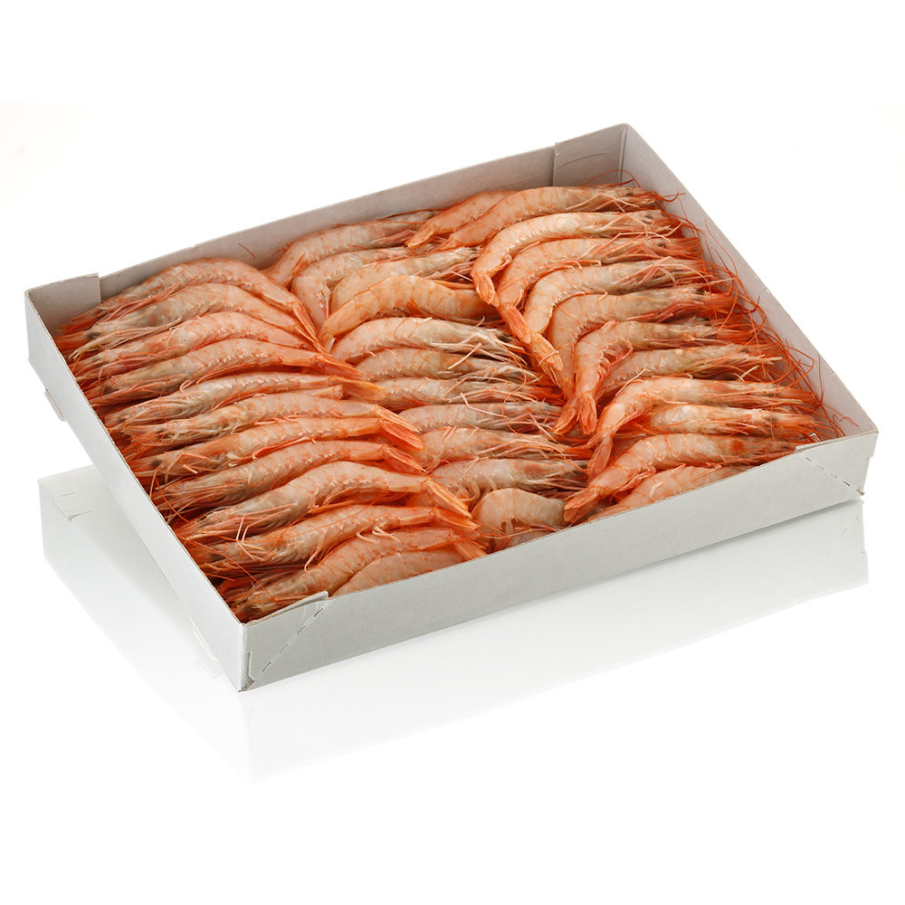 Gamba plancha blanca