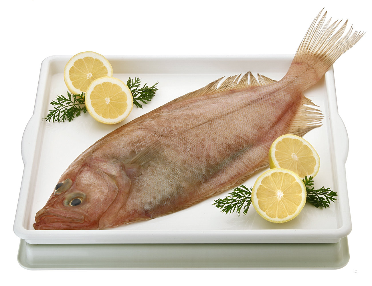 Gallo en filetes.