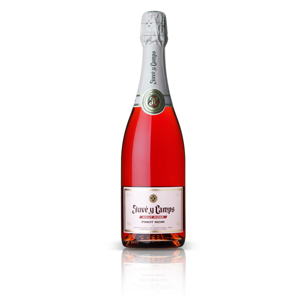 Juve y Camps Brut Rosé