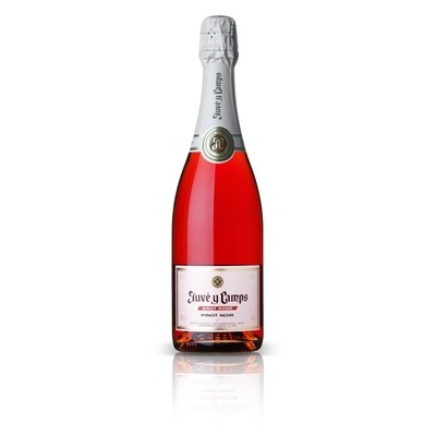 Juve y Camps Brut Rosé