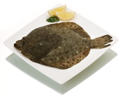 Rodaballo gallego.