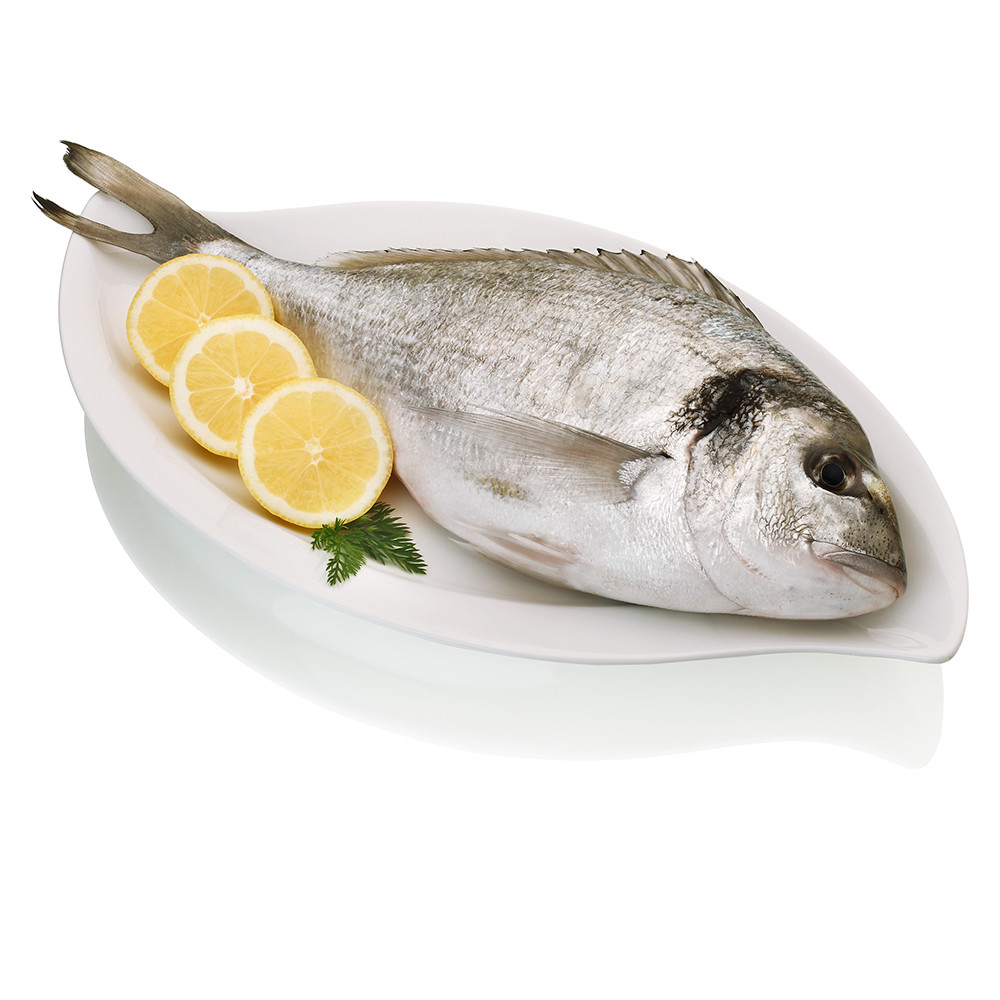 Dorada de los esteros de Cádiz.