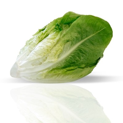 Lechuga.