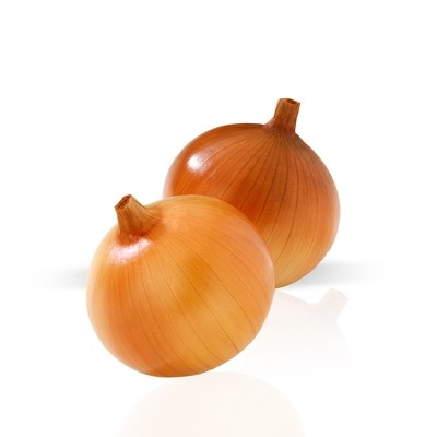Cebolla.