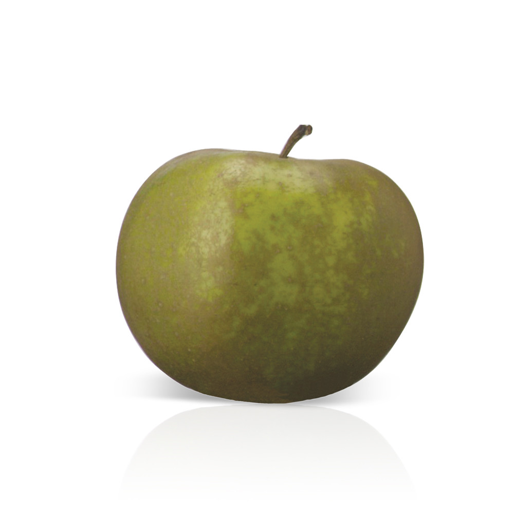 Manzana verde Reineta.