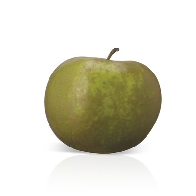 Manzana verde Reineta.
