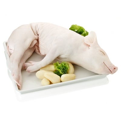 Cochinillo fresco.