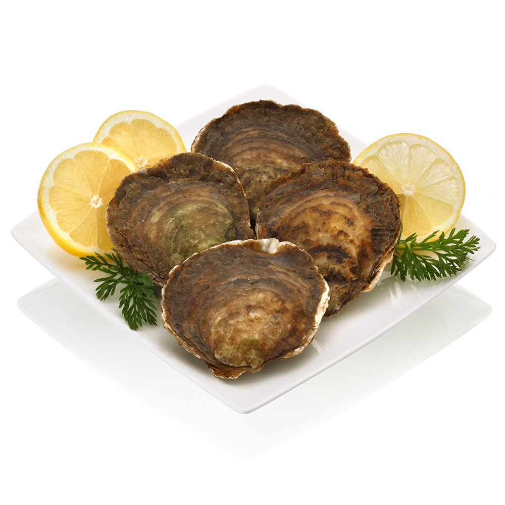 Ostra Belón.